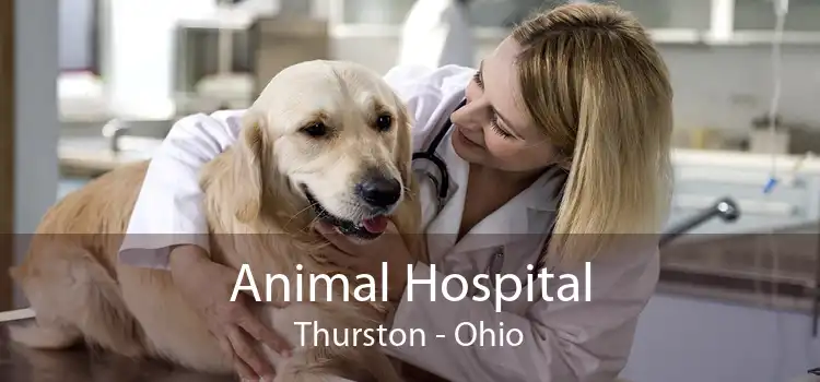 Animal Hospital Thurston - Ohio