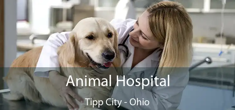 Animal Hospital Tipp City - Ohio