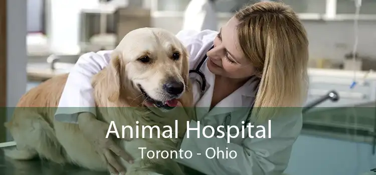 Animal Hospital Toronto - Ohio