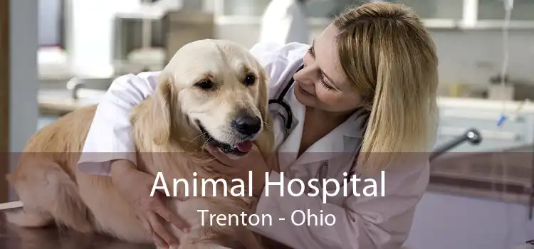 Animal Hospital Trenton - Ohio
