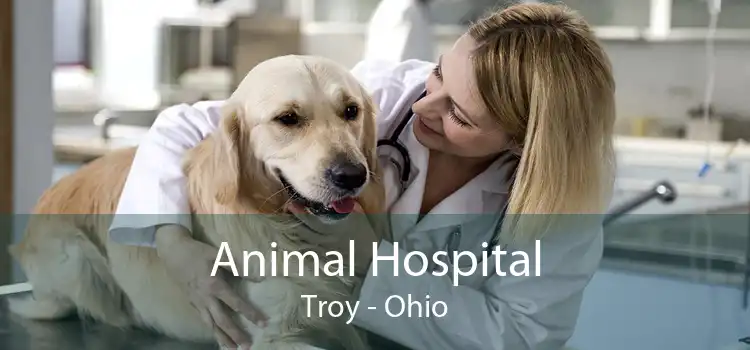 Animal Hospital Troy - Ohio