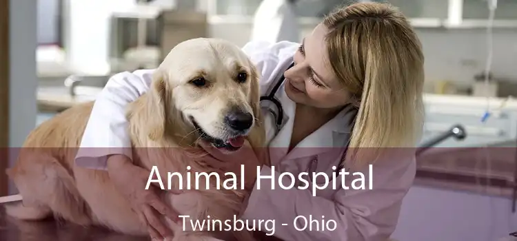 Animal Hospital Twinsburg - Ohio