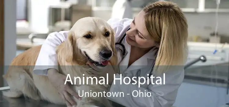 Animal Hospital Uniontown - Ohio
