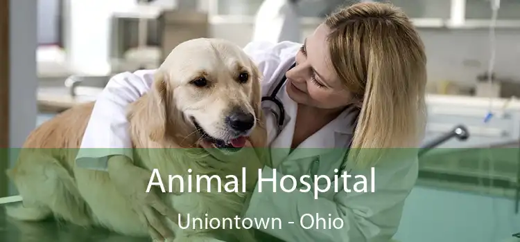 Animal Hospital Uniontown - Ohio