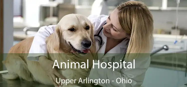 Animal Hospital Upper Arlington - Ohio