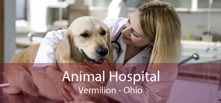 Animal Hospital Vermilion - Ohio
