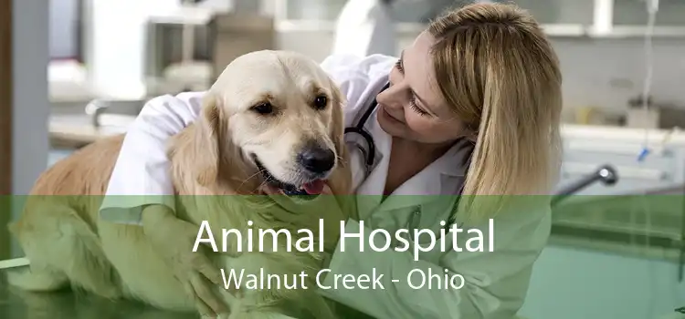 Animal Hospital Walnut Creek - Ohio