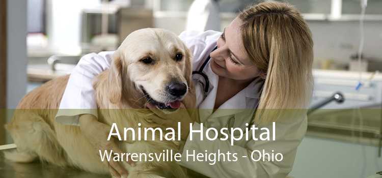 Animal Hospital Warrensville Heights - Ohio