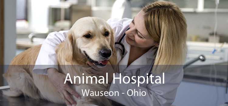 Animal Hospital Wauseon - Ohio