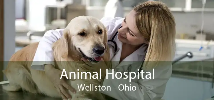 Animal Hospital Wellston - Ohio