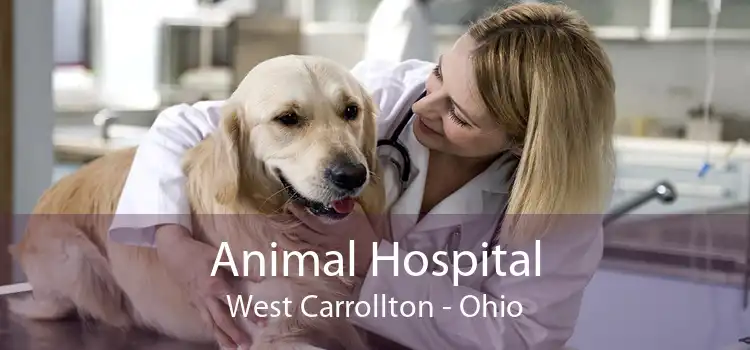 Animal Hospital West Carrollton - Ohio