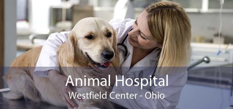 Animal Hospital Westfield Center - Ohio