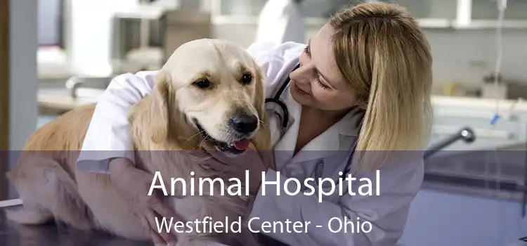 Animal Hospital Westfield Center - Ohio