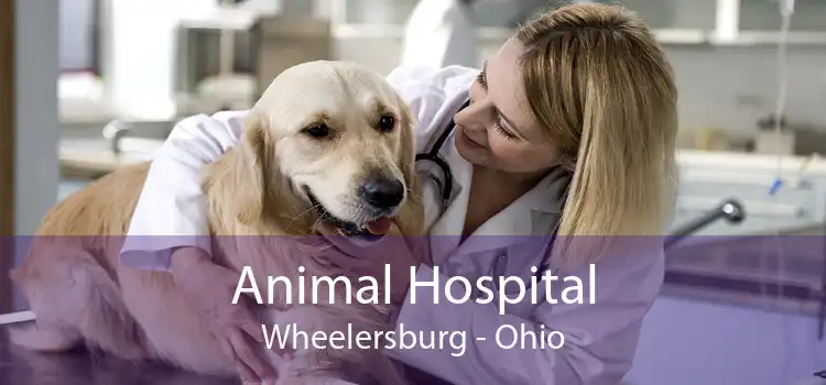 Animal Hospital Wheelersburg - Ohio