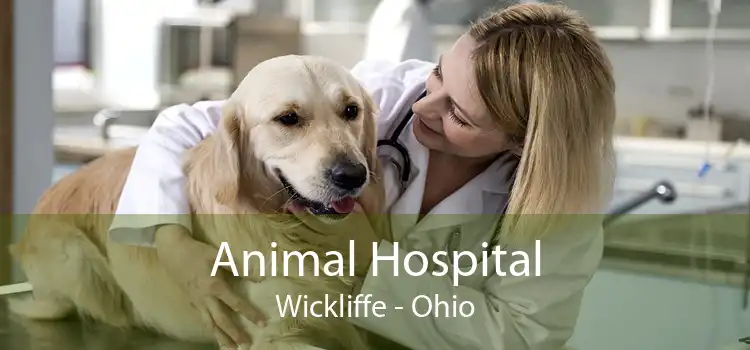 Animal Hospital Wickliffe - Ohio
