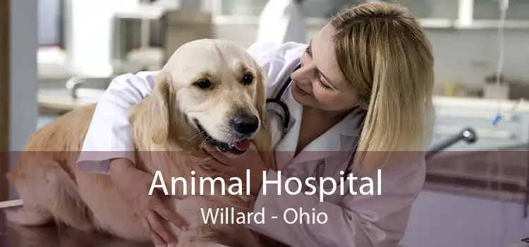 Animal Hospital Willard - Ohio