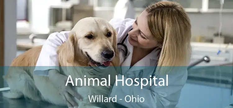 Animal Hospital Willard - Ohio