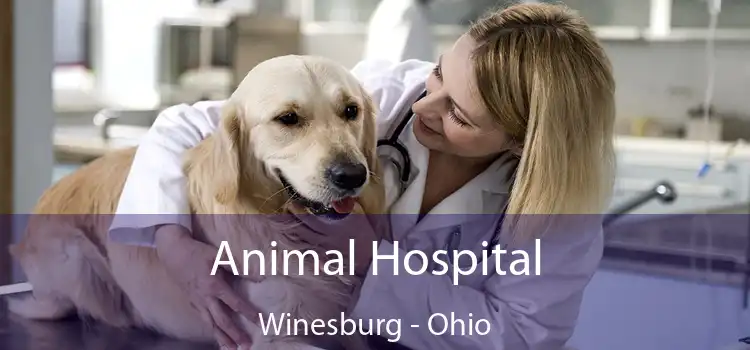 Animal Hospital Winesburg - Ohio