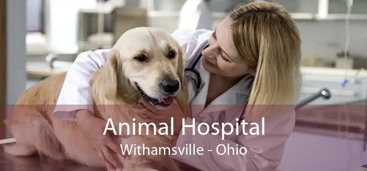 Animal Hospital Withamsville - Ohio