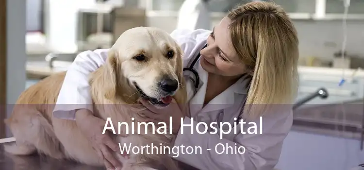 Animal Hospital Worthington - Ohio
