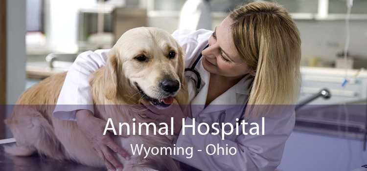 Animal Hospital Wyoming - Ohio