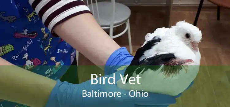 Bird Vet Baltimore - Ohio