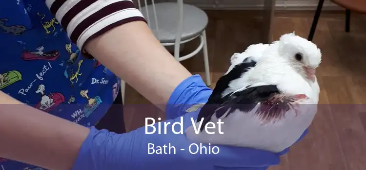 Bird Vet Bath - Ohio