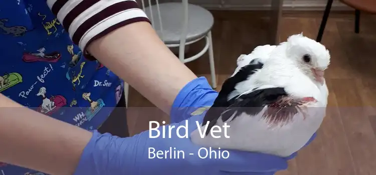 Bird Vet Berlin - Ohio