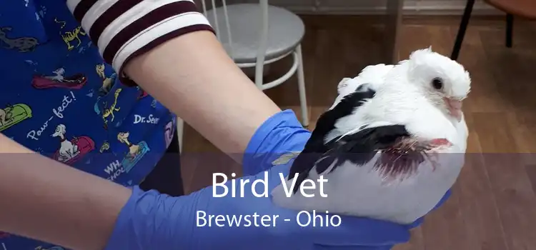 Bird Vet Brewster - Ohio