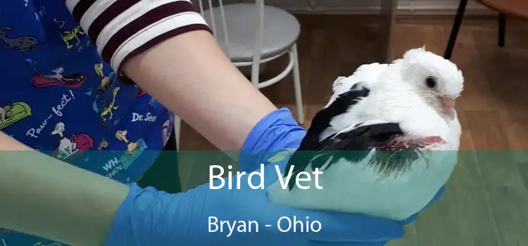 Bird Vet Bryan - Ohio