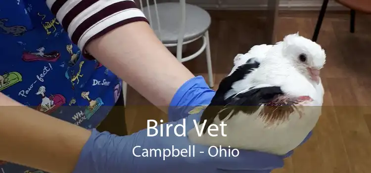 Bird Vet Campbell - Ohio