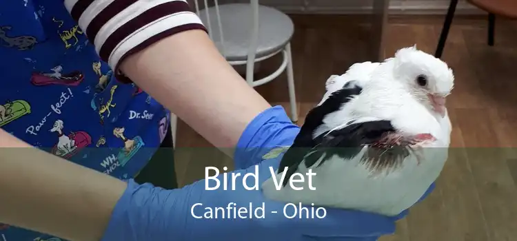 Bird Vet Canfield - Ohio