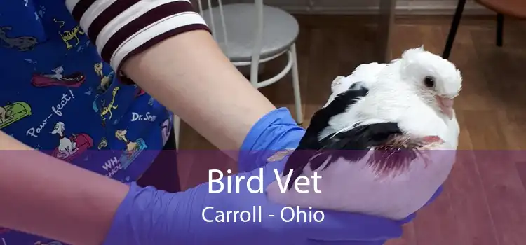 Bird Vet Carroll - Ohio