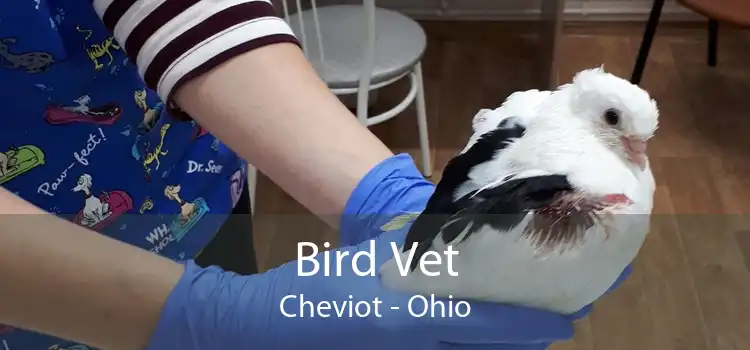 Bird Vet Cheviot - Ohio