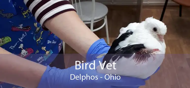 Bird Vet Delphos - Ohio