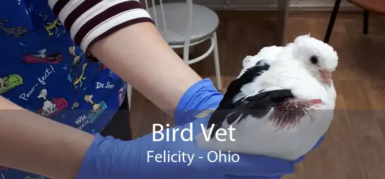 Bird Vet Felicity - Ohio