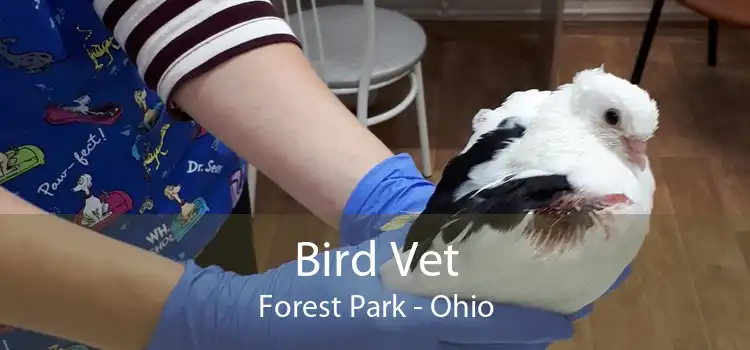 Bird Vet Forest Park - Ohio