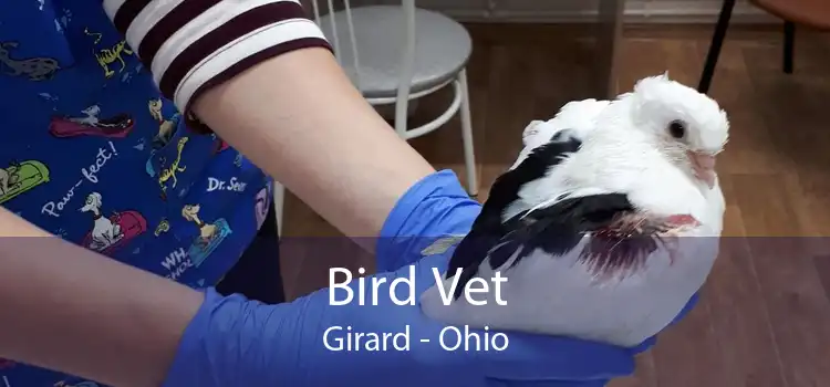 Bird Vet Girard - Ohio