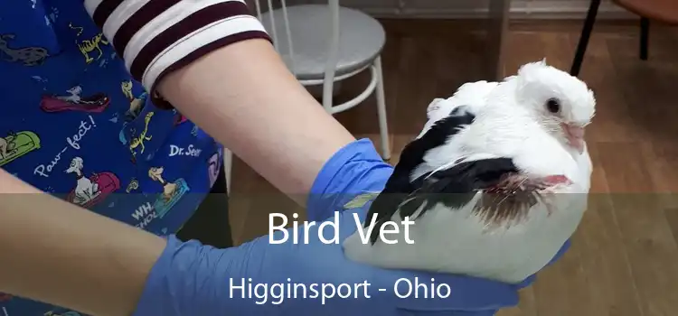 Bird Vet Higginsport - Ohio