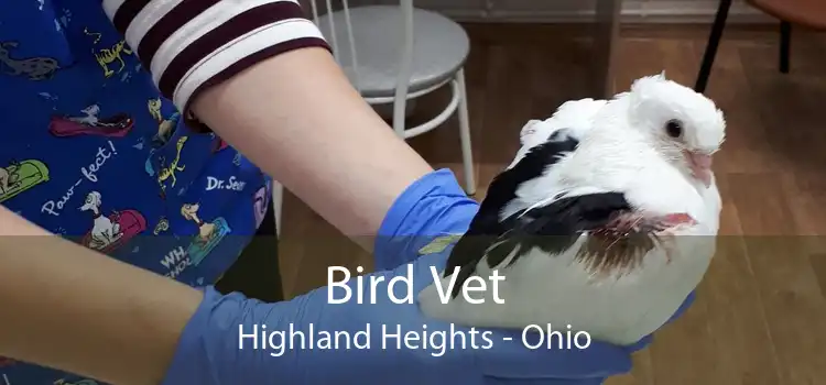 Bird Vet Highland Heights - Ohio