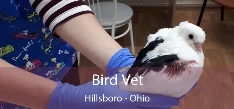 Bird Vet Hillsboro - Ohio