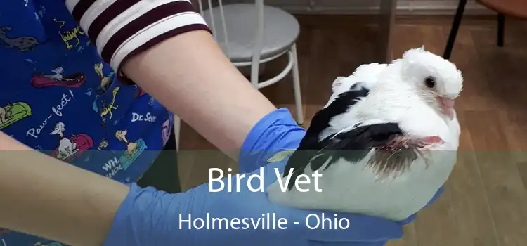 Bird Vet Holmesville - Ohio