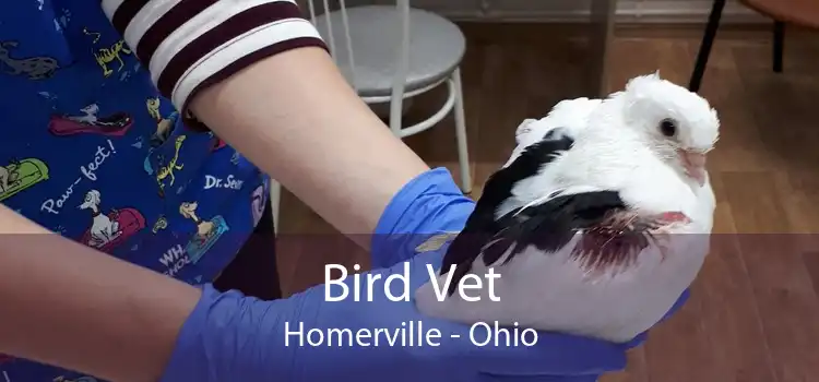 Bird Vet Homerville - Ohio
