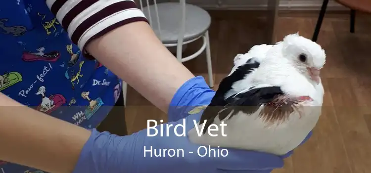 Bird Vet Huron - Ohio