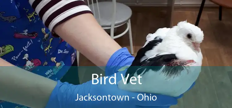 Bird Vet Jacksontown - Ohio