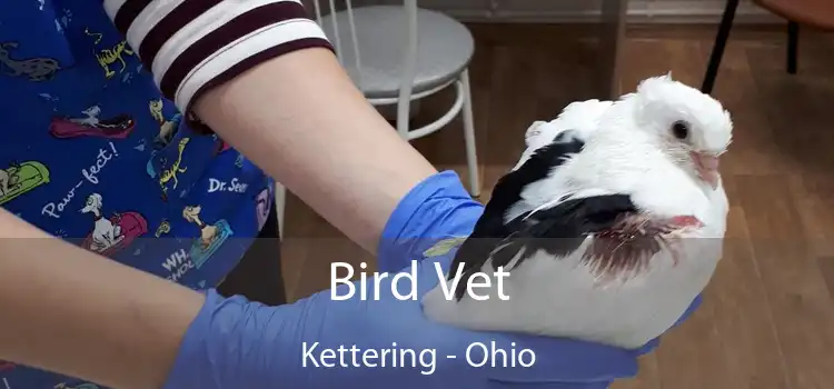 Bird Vet Kettering - Ohio