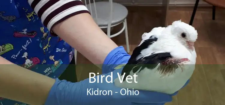 Bird Vet Kidron - Ohio