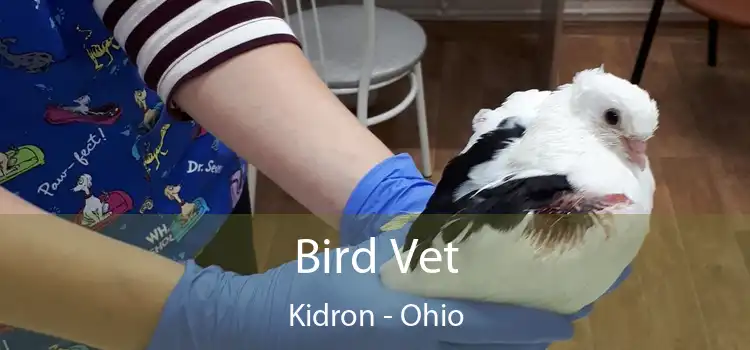 Bird Vet Kidron - Ohio