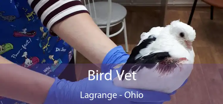 Bird Vet Lagrange - Ohio