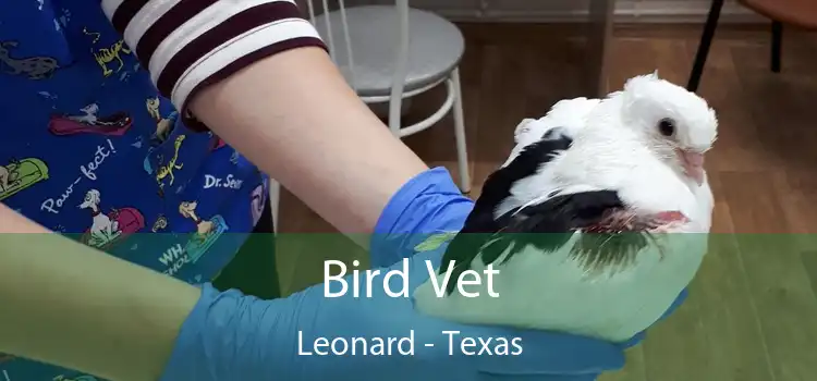 Bird Vet Leonard - Texas